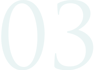 03